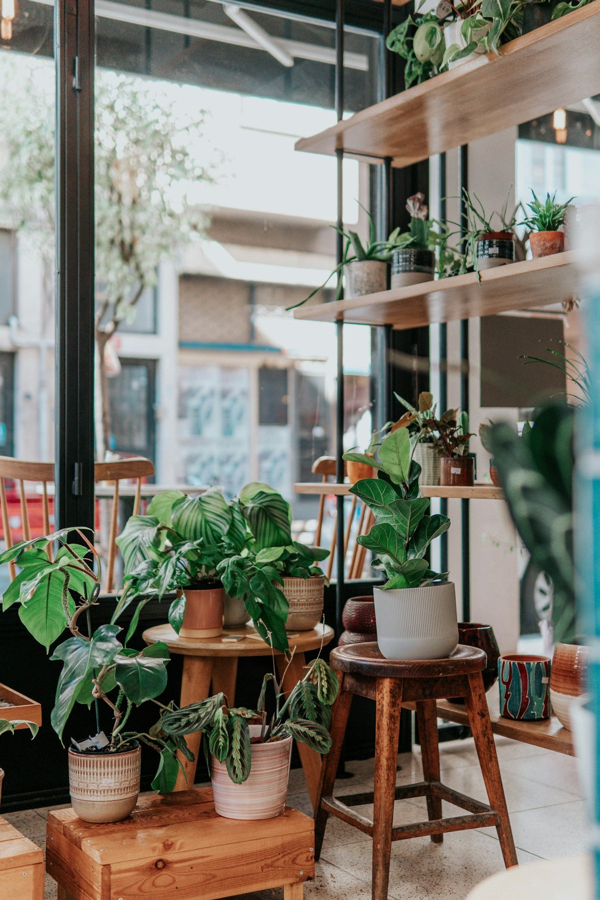 Planters and Pots