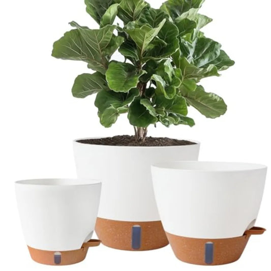 Self Watering Porcelain Plant Pots With Water Level Indicator