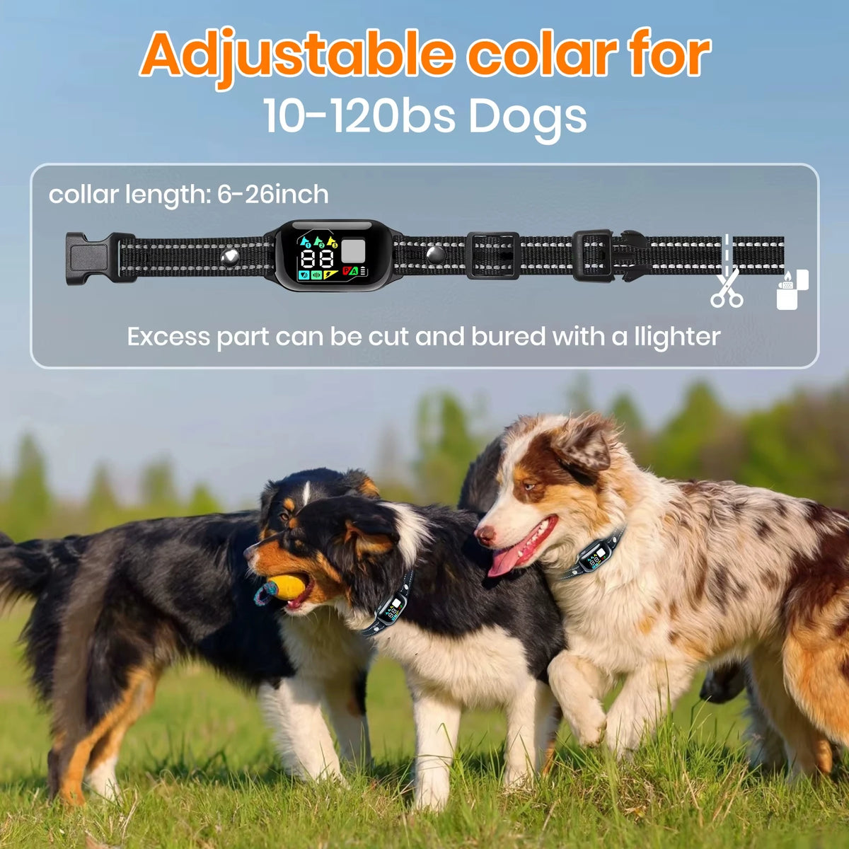 Dog Training Collar Automatic Bark Shock Waterproof Advanced Electric Device