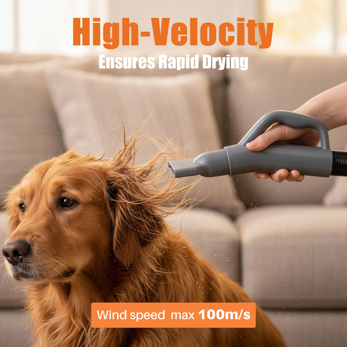 JHK Pet Grooming Vacuum Kit With Adjustable Heat Blow Dryer