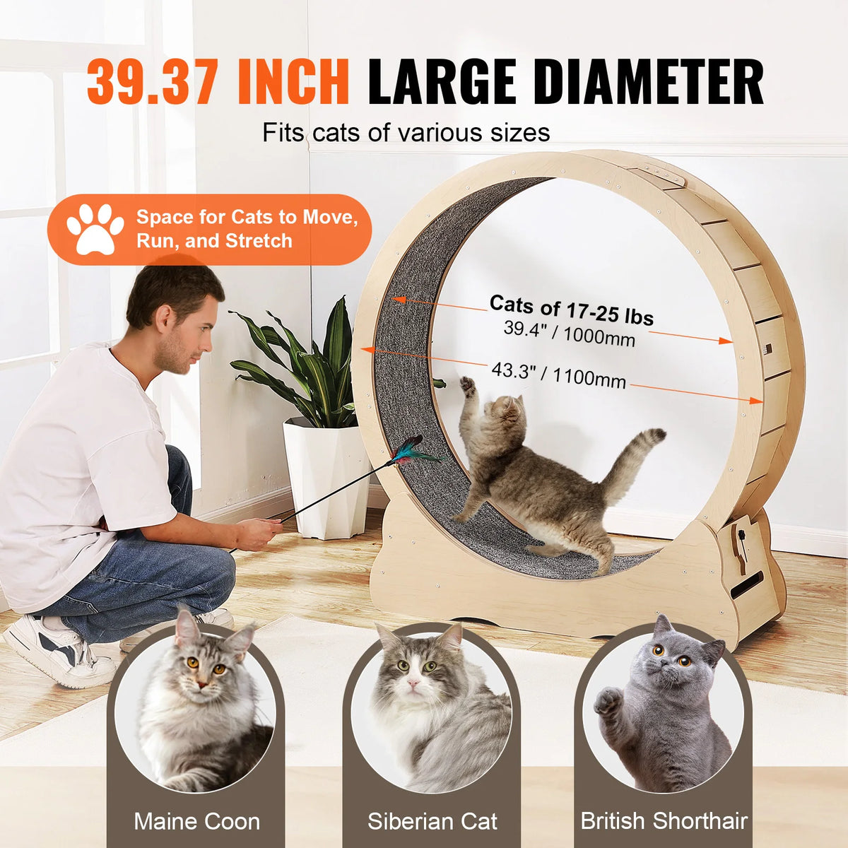 SucceBuy Large Wooden Cat Exercise Wheel With Detector Carpet