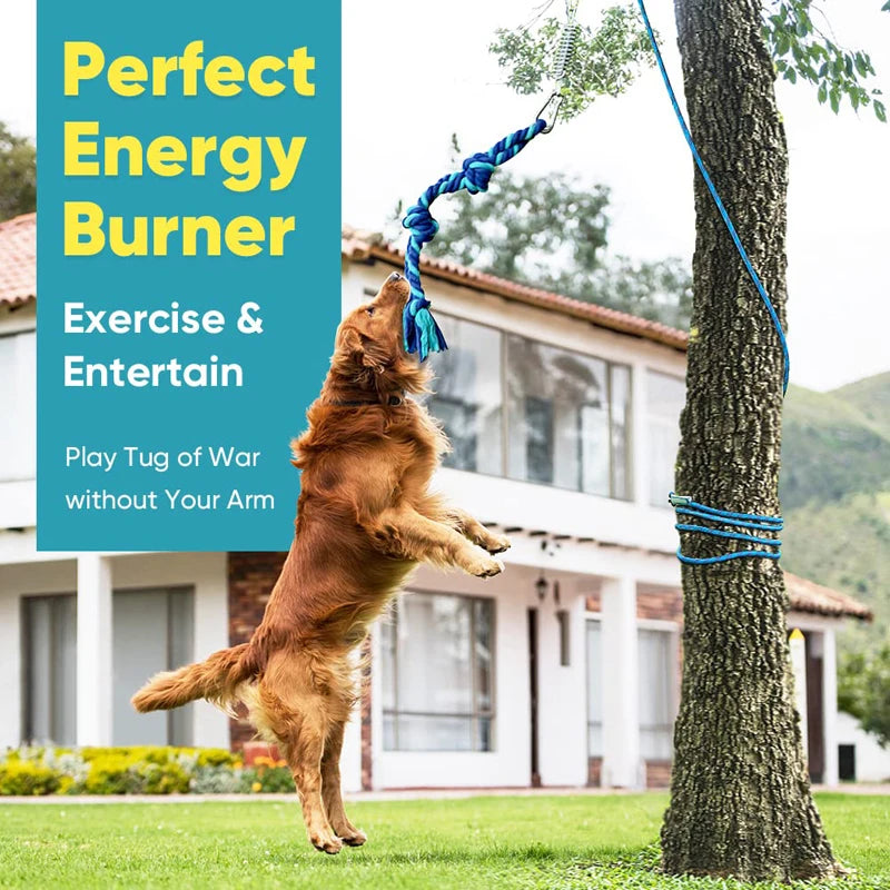 Benepaw Bungee Dog Toy Interactive Spring Pole Tug