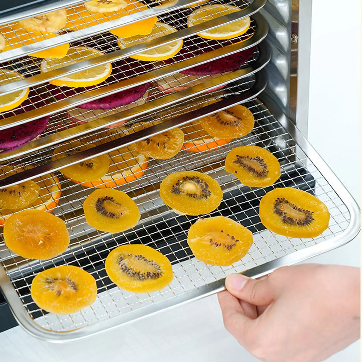 Stainless Steel Food Dehydrator With Viewing Window And Adjustable Controls